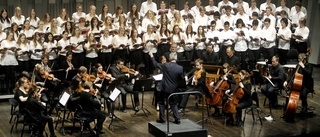 Uppsala Musikklasser tar sig an Mozarts sista storverk