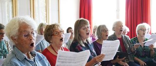 Musiker i alla åldrar håller konsert i Mjölby 