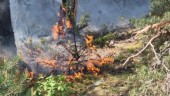 Räddningstjänsten släckte gräsbrand på Ramboberget