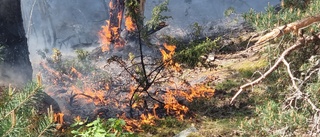 Räddningstjänsten släckte gräsbrand på Ramboberget