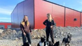 Avslöjar: Stort hundsportcenter öppnar snart i Luleå