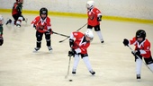 200 unga hockeylirare kämpade på isen i Vegahallen