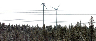 Vindkraftpark i Piteå säljs till kooperativ