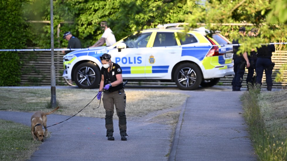 Polis på plats och söker med specialsökhund på en gång- och cykelväg i Ängelholm efter att en flicka i tioårsåldern förts till sjukhus efter en knivattack. Arkivbild.