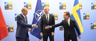 Skakig resa väntar svensk Natoansökan i höst