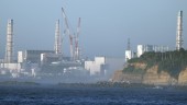 Stöldgods från Fukushima kan vara radioaktivt