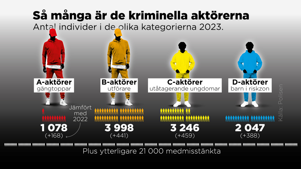 Antal individer i de olika kategorierna 2023.