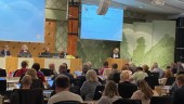 Ovanligt snäll debatt – men specialkosten höjde temperaturen