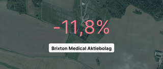 Här är siffrorna som visar hur det gick för Brixton Medical Aktiebolag under 2022