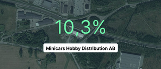 Minicars Hobby Distribution AB: Nu är redovisningen klar - så ser siffrorna ut