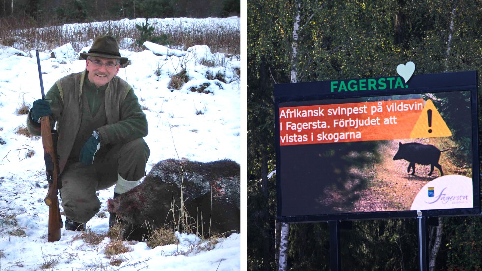 Dan Franzén är länsordförande för Östergötland i Jägarnas Riksförbund. Han menar att länets jägare borde skjuta fler vildsvin i förebyggande syfte. Om svinpesten kommer till länet är det för sent, menar han.
