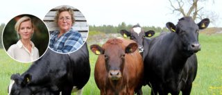 Norrbottens gårdar sämst i landet enligt Krav ■ Lantbrukarnas riksförbund: "Märkningen är för dyr"