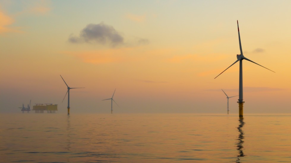 Vinden tycks bara räcka för danska vindkraftsverk ute till havs? Eller hur tänker regeringen; det undrar debattören? 