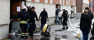 Katt brann inne i lägenhetsbrand