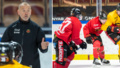 Profilernas dom – "Osten" tror på toppensäsong för Luleå Hockey