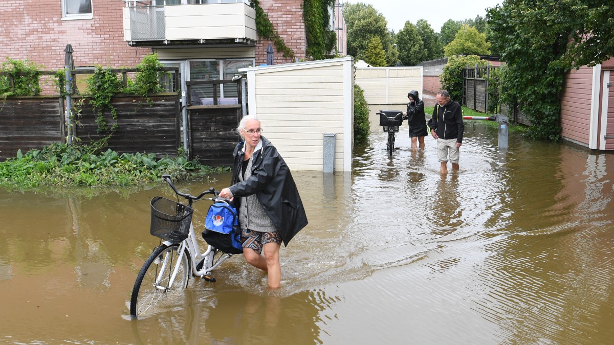 Galghumor bland de drabbade Foto