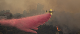 Israeliska skogsbränder under kontroll
