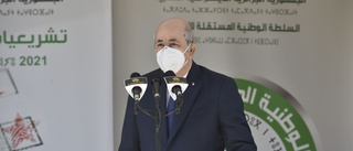 Algeriets premiärminister avgår