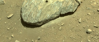 Bekräftat: "Penna" upplockad på Mars
