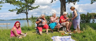 Anna-Lisa i Vadstena hade en dröm – nu har den blivit verklighet