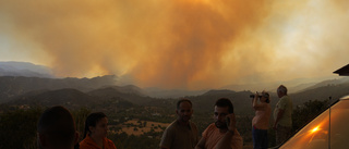 Fyra döda i Cyperns värsta brand på årtionden