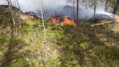 Snabb upptäckt hindrade skogsbrand från att växa