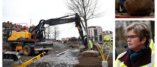 Nu har de första träden planterats i Östra Promenaden: "Det är en historisk dag"