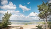 Sommartipset: Långnäsbadet – längsta insjöstranden