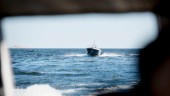 Sommartipset: Turbåten Vidar kör vidare i sommar