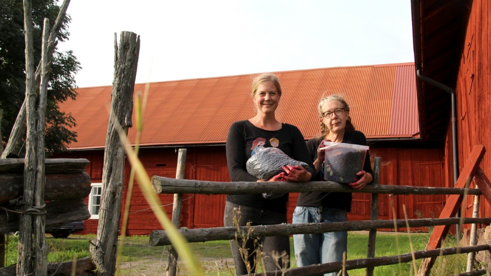 Sofia Fälth och Annelie Sandén driver, sedan tre år tillbaka, Rimforsaföretaget Found on the ground. Nu hyllas de med en utmärkelse från Hagdahlsakademien.