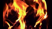Eldade trots eldningsförbud – döms till dagsböter