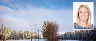  Norrbotten blir första producenten av grön ammoniak: "Ger synergieffekter"