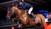 Malin Baryard Johnssons häst rankas etta i världen