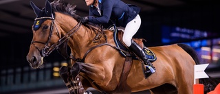 Baryard Johnssons häst rankas etta i världen