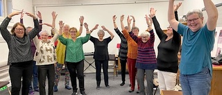 Föreningsliv: Qi Gong i Råneå 