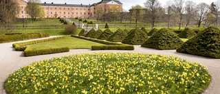 Utreder samband mellan onani-händelser i Uppsala