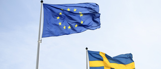 Sverige behöver vara en sansad röst i Europa