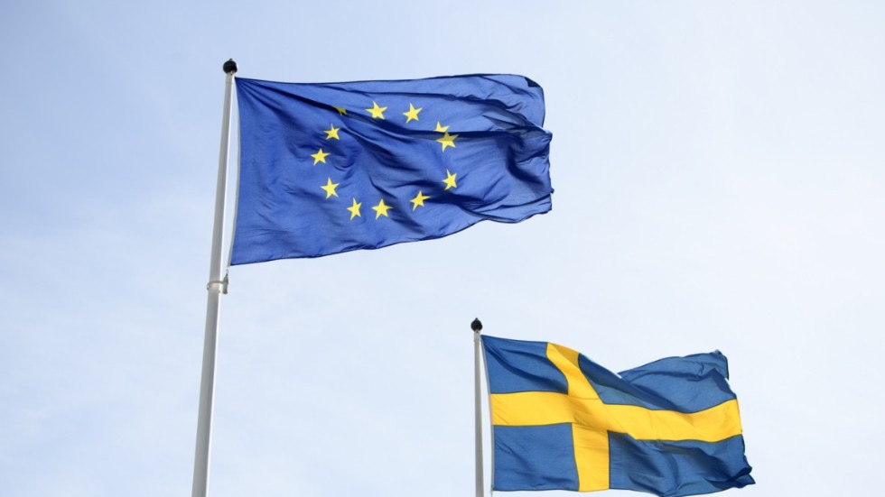 Sverige behöver bestämma sig för hur vi vill påverka EU:s utveckling. Med början i ordförandeskapet från årsskiftet.