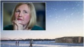 Idéen om ett kallbadhus gillas av Luleås politiker – kan ställa mark till förfogande