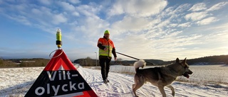 Rådjur påkört och sprang iväg i dag på morgonen – jägare har ringts in