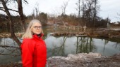 Döda ålar flyter upp intill Pernillas hem i Skogstorp – nu kräver hon att kommunen agerar: "Man tror ju att de ansvariga har koll"