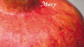 Aris Fioretos ”Mary” är en välskriven historia om förtryck och misär
