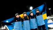 Jämlikheten ger Sverige fler OS-medaljer