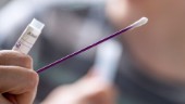 Företag utreds för falska covidtester