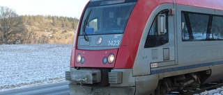 Hjort blev påkörd av tåget vid Överum