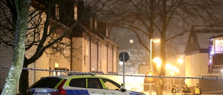 Bedrägerier och dödsskjutningar hänger ihop • Båda ökar kraftigt: "Ser konturer av svensk maffia"