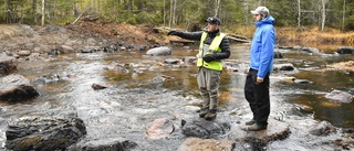 Ett måste för att fisken ska trivas