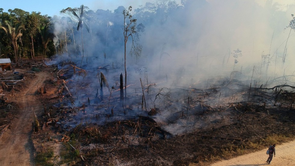 En brandhärjad del av Amazonas regnskog i Labrea, Brasilien. I Labrea bränner lantbrukare ofta skogen för att använda marken för bete och odling. Arkivbild.