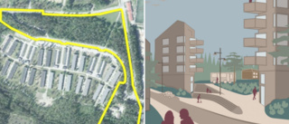 Två nya bostadsområden på Sunnanå ska nu planeras