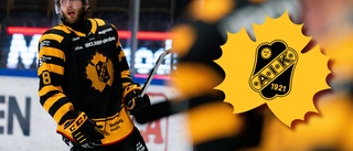Backbetygen i AIK: Alla får minst godkänt – två spelare sticker ut